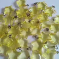 Yellow Star Crystal 2cm Pentagram Charms DIY Jewelry Making Necklace Bracelet Accessories - Yellow Glass-Look