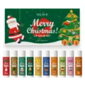 EELHOE Christmas Lip Balm Set, 10-Piece Moisturizing Gift Box with Assorted Flavors - 50g (5g x 10)