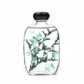Vista detallada de botella de vidrio plano transparente de 100ml con líquido y plantas. - Jacinto Silvestre / Aproximadamente 100ml