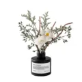 Difusor de aroma de vidrio negro con flores secas y varillas de flores blancas para el hogar. - Té de Jazmín