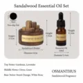 Holz Aromatherapie Diffusor Set mit Schwarznussbecher und 10ml Duftöl Flasche für Auto. - 10ml Ätherisches Öl Set - Shangri-La