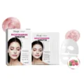 Hoygi Niacinamide Arbutine gezichtsmasker voor diepe hydratatie en heldere huidverzorging. - Set van 4