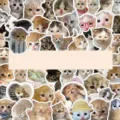 70pcs lindos pegatinas de gatitos juego impermeable calcomanías estéticas para teléfono taza - Gatitos de Nariz Diminuta-70 Piezas