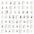 120pcs Pegatinas de Razas de Gatos Guía de Identificación de Gatitos Tarjetas Educativas - Conocer un gato cada semana, 60 piezas