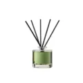 Set de regalo de difusor de aceites esenciales con frasco verde y varillas negras de fibra. - Té puro de cuatro estaciones (Verde hierba)