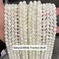 Natural white trochus shell beads for DIY jewelry making and handmade accessory stringing - 4mm (Approx 90pcs) / Natural White Trochus