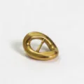 Close-up detail of the irregular antique gold metal buckle, exquisite texture and design. - Gold Clasp