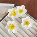Belles barrettes à fleurs de narcisse blanches et jaunes sur un plateau à bijoux - Ensemble de 4 Pièces / Lot de 4 / Blanc