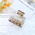 Pince à cheveux géométrique creuse transparente ambre minimaliste pour coiffures élégantes - Gris Transparent