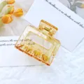 Pince à cheveux géométrique ambre évidée avec un design rectangulaire de taille moyenne. - Orange Transparent