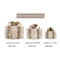 Three glowing coffee-white Christmas gift boxes with sizes and weights - Type B Coffee White Three-Piece Set