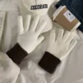 Women winter knit gloves featuring white body and brown ribbed cuff design, cozy warm and stylish. - Dopamine Two-Tone Gloves - White