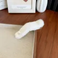 Pince à cheveux bec de canard en fourrure blanche avec perle élégante pour l'hiver - Blanc