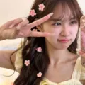 Barrettes à fleurs de cerisier roses portées par un modèle pour un style très tendance. - Clip Mini Seul