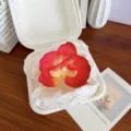 Elegant red orchid flower hair clip with pearl center in white box - Red