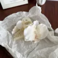 Elegant large white orchid hair claw clip featuring delicate silk flower petals - Hair Claw / Champagne