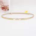 Gouden dunne taille riem detail, metalen gesp ontwerpen, elegante accessoire voor dames. - Goud