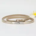 Stijlvolle slanke gouden metalen tailleband voor dames met elegante zilveren gesp. - Goud Zilveren Gesp