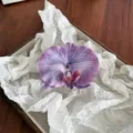 Elegant purple silk Phalaenopsis orchid flower hair claw clip with realistic wrinkled texture - Duckbill Hair Clips / Purple