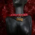 Red leather choker collar with metal bone tag for women, stylish neck accessory SKU. - Bone Tag + Chain + Gift Box / Red