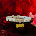 White faux leather pet collar choker with gold metal hardware and cute bone shaped tag. - Bone Tag + Chain + Gift Box / White