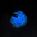 Peony flower low temperature scented candle for romantic couples and adult relaxation games. - Fluorescent Peony Blue