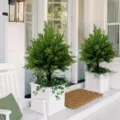 Detailed view of two artificial cedar topiary trees in white planters on a porch - Boxed / Verdant