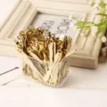 Gold metal ear picks in transparent box, classic daily cleaning tool set for personal care. - 100pcs Pack / Gold