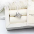 Eleganter verstellbarer Silbersternring mit Zirkonia in einer Schmuckschatulle. - Sternstil / 15.5mm Leere Schale / Silber