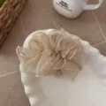 Elegant beige mesh ruffle hair claw clip for women with delicate embroidery edges - Off White