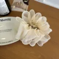 Pince à cheveux élégante en résille plissée blanc cassé pour coiffures de femmes - Blanc Cassé (Filet Surjeté) (260403)