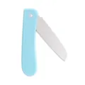 Portable folding fruit knife mini stainless steel kitchen pocket knife in blue color - Blue