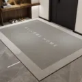 Alfombra de entrada gris antideslizante felpudo moderno para pasillo interior fácil de limpiar - 40x60cm (Terciopelo de Cristal) / Anillos Blancos y Negros