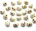 White turquoise skull beads for DIY jewelry making, gothic charm spacer loose bead supplies. - 6x8mm (Approx. 54 Pcs) / Howlite