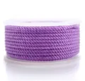 Purple Milan cord spool for DIY handmade braided necklaces, lanyards, and crafting projects. - 1.5mm 23m / Purple