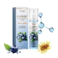 HOYGI Blueberry Water Facial Toner 100ml Deep Hydration Moisturizing Skincare Serum - 100ml / Toner