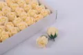 Artificial soap rose flower heads in white gift box for gift wrapping and DIY bouquets. - 50 Champagne Flowers