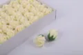 Cream white soap rose flower heads in box for Valentine's Day bouquet floral arrangement - Rose - Milk White