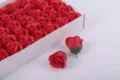 Red soap rose flower heads in white gift box, perfect for valentine day bouquet DIY and decor. - Bright Red 50 Pcs