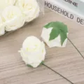 Cabezas de rosas artificiales de espuma PE blanca con tallos para cajas y ramos de flores. - Crema