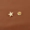 Macro view of golden star-shaped brooch with metal clutch backing on textured background - Pentagram / Gold