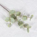 Détail en gros plan d'une branche de feuille d'eucalyptus artificielle, feuillage vert. - Vert
