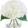 Gros plan détaillé de la composition florale d'hortensia blanc artificiel dans un vase. - Hortensia Blanc (Y Compris Bouteille)