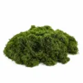 Fausse mousse verte artificielle pour la décoration de plantes de jardin et art mural DIY. - Paquet de 100g / Vert foncé