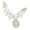 Orchidée blanche artificielle dans un vase en verre transparent avec de l'eau fausse. - Orchidées Phalaenopsis - Blanc
