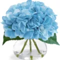 Hortensias bleus artificiels dans un vase en verre transparent avec de l'eau decorative. - JS054 Grand Hortensia Bleu (Y Compris Bouteille)