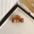 Pince à cheveux géométrique élégante en acétate marron ambre pour coiffure quotidienne - Style géométrique asymétrique / Ambre