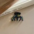 Pince à cheveux rétro en acétate avec un motif marbré bleu et jaune très élégant. - Bleu Vert-4.7CM