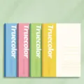 Minimalistische A5 Notizhefte im 4er-Pack, farbige Schreibwaren für Schule und Büroalltag. - A5 / 4er-Pack: 100 Blatt (inkl. Einband)
