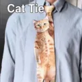 Detailweergave van een grappige stropdas met creatief kattenpatroon voor vrijetijdsoverhemden. - Kat (Oranje Kat)